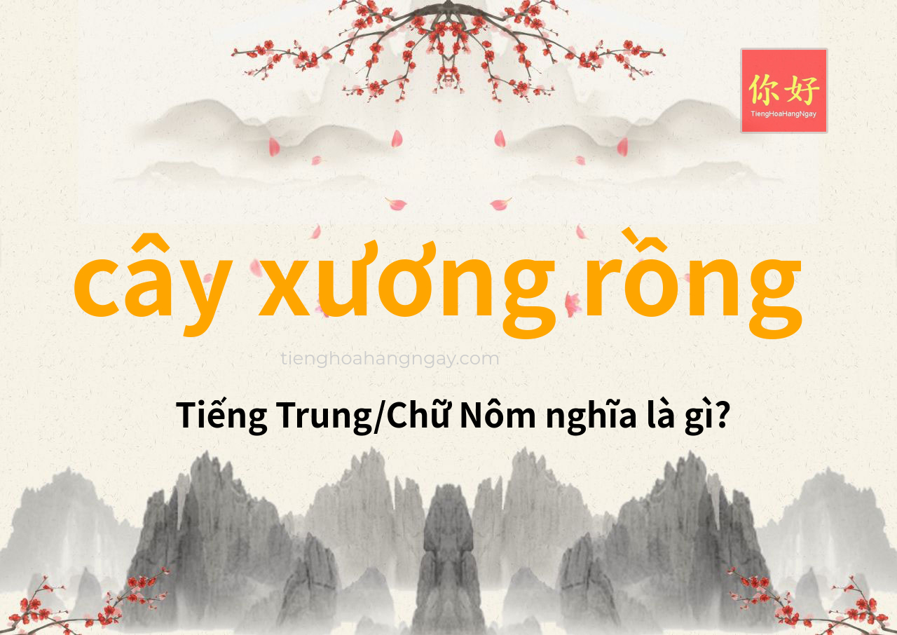 cây xương rồng tiếng Trung là gì?